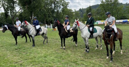 Pferdesporttage Fricktalischer Reiterclub
